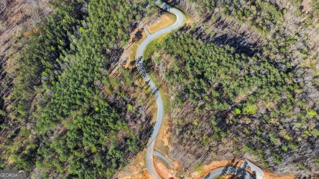 $110,000 | Lot 103 Blalock Mountain Road, Talking Rock, GA 30175