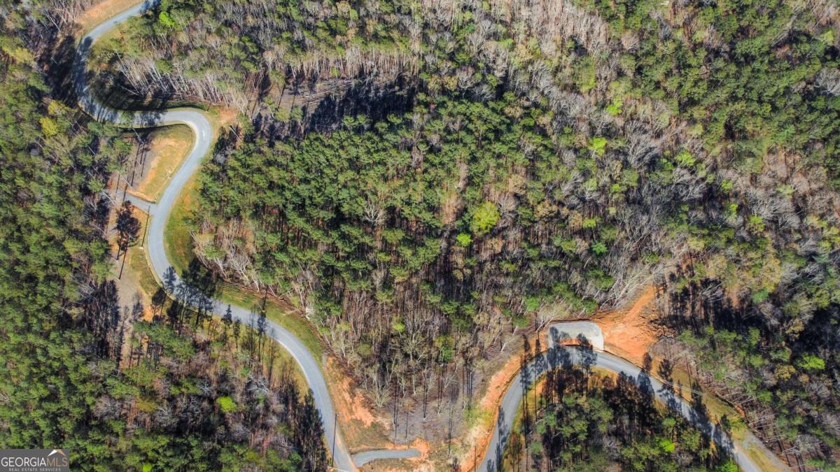 Lot 103 Blalock Mountain Road Talking Rock, GA 30175 - Photo 6 of 31 a map view of location