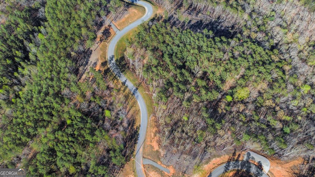 Lot 103 Blalock Mountain Road Talking Rock, GA 30175 - Photo 7 of 31 a map view of location