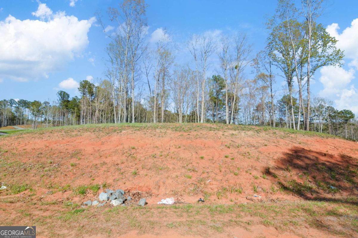 Lot 103 Blalock Mountain Road Talking Rock, GA 30175 - Photo 8 of 31 a backyard of a house with lots of green space