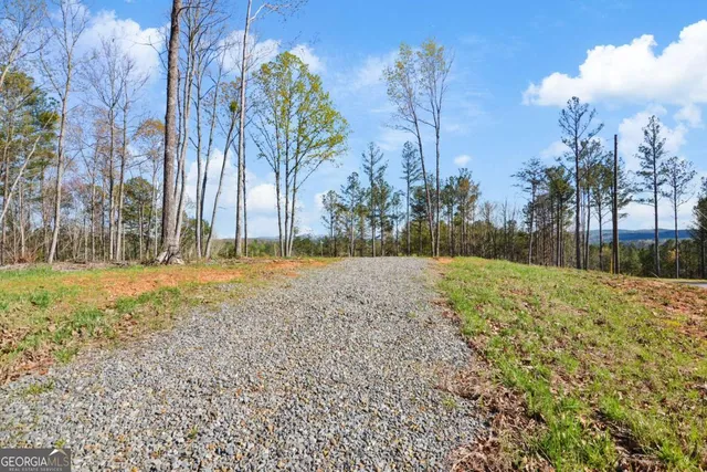 $110,000 | Lot 103 Blalock Mountain Road, Talking Rock, GA 30175