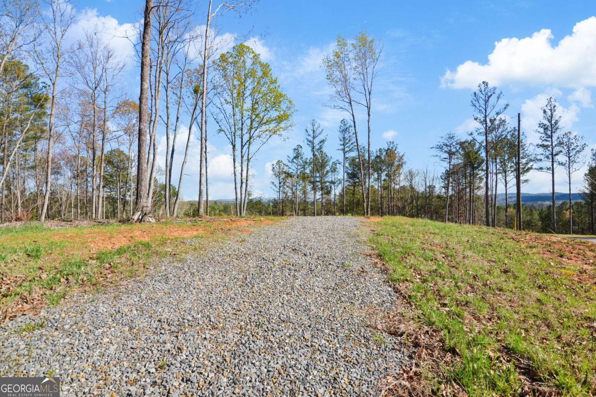 Lot 103 Blalock Mountain Road Talking Rock, GA 30175 - Photo 9 of 31 a view of a yard with palm trees
