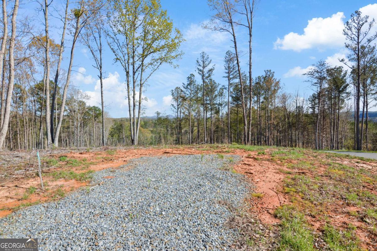 Lot 103 Blalock Mountain Road Talking Rock, GA 30175 - Photo 10 of 31 a backyard of a house with lots of green space