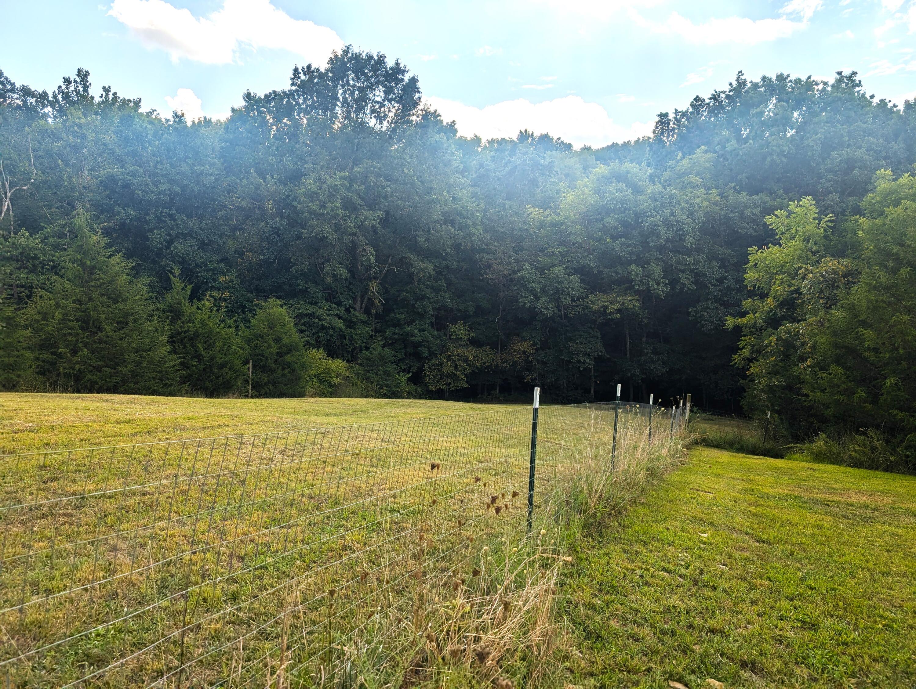 2485 Judy Ridge Road Cynthiana, KY 41031 - Photo 17 of 24 PXL_20240831_175212181