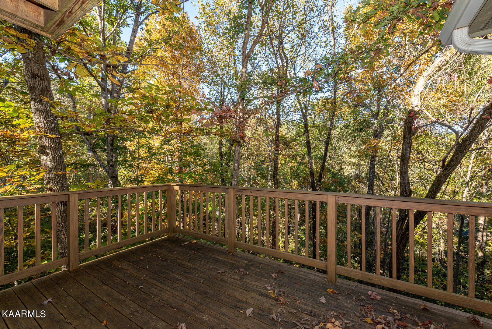 211 Ace Gap Road Townsend, TN 37882 - Photo 25 of 25 DSC_7978