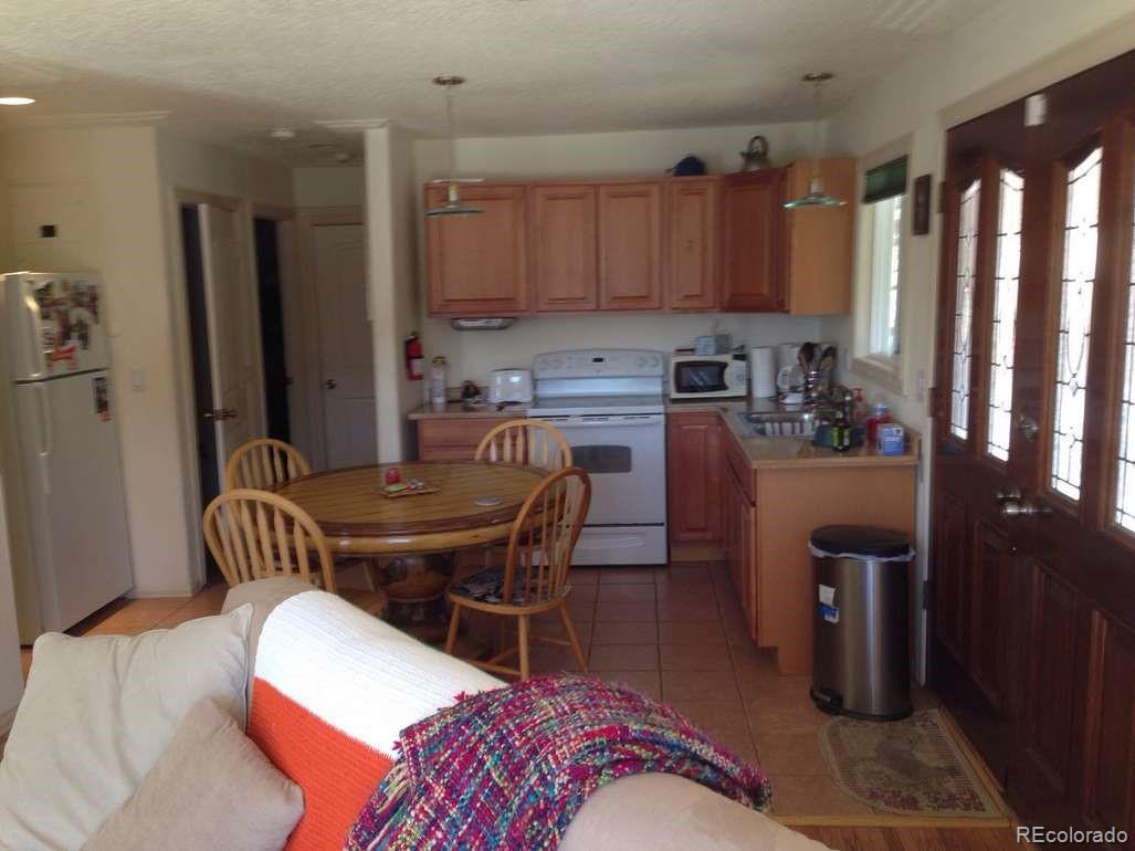 159 Lake Road Idaho Springs, CO 80452 - Photo 11 of 15