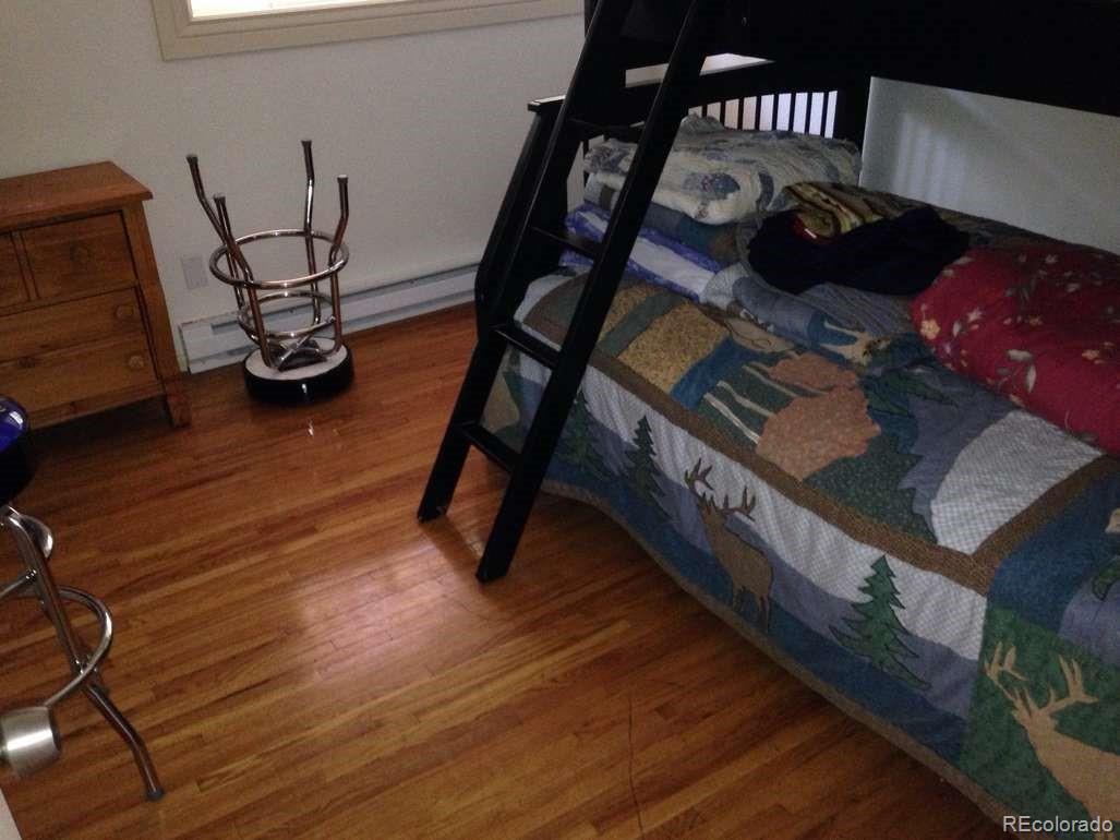 159 Lake Road Idaho Springs, CO 80452 - Photo 12 of 15