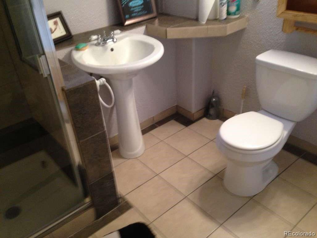 159 Lake Road Idaho Springs, CO 80452 - Photo 14 of 15