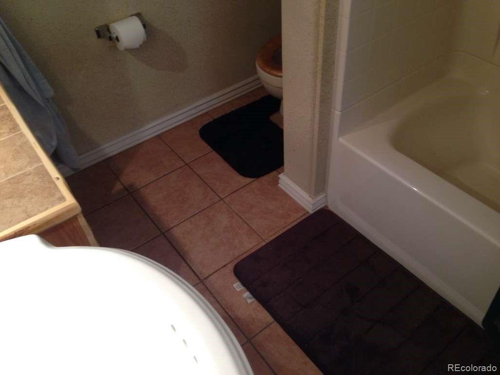 159 Lake Road Idaho Springs, CO 80452 - Photo 15 of 15