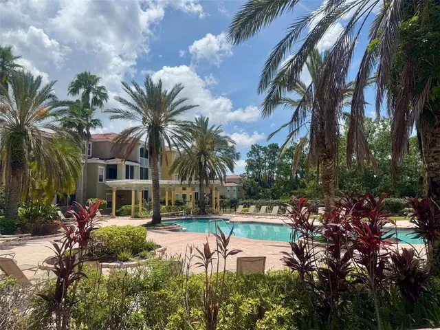 a view of a yard with palm trees