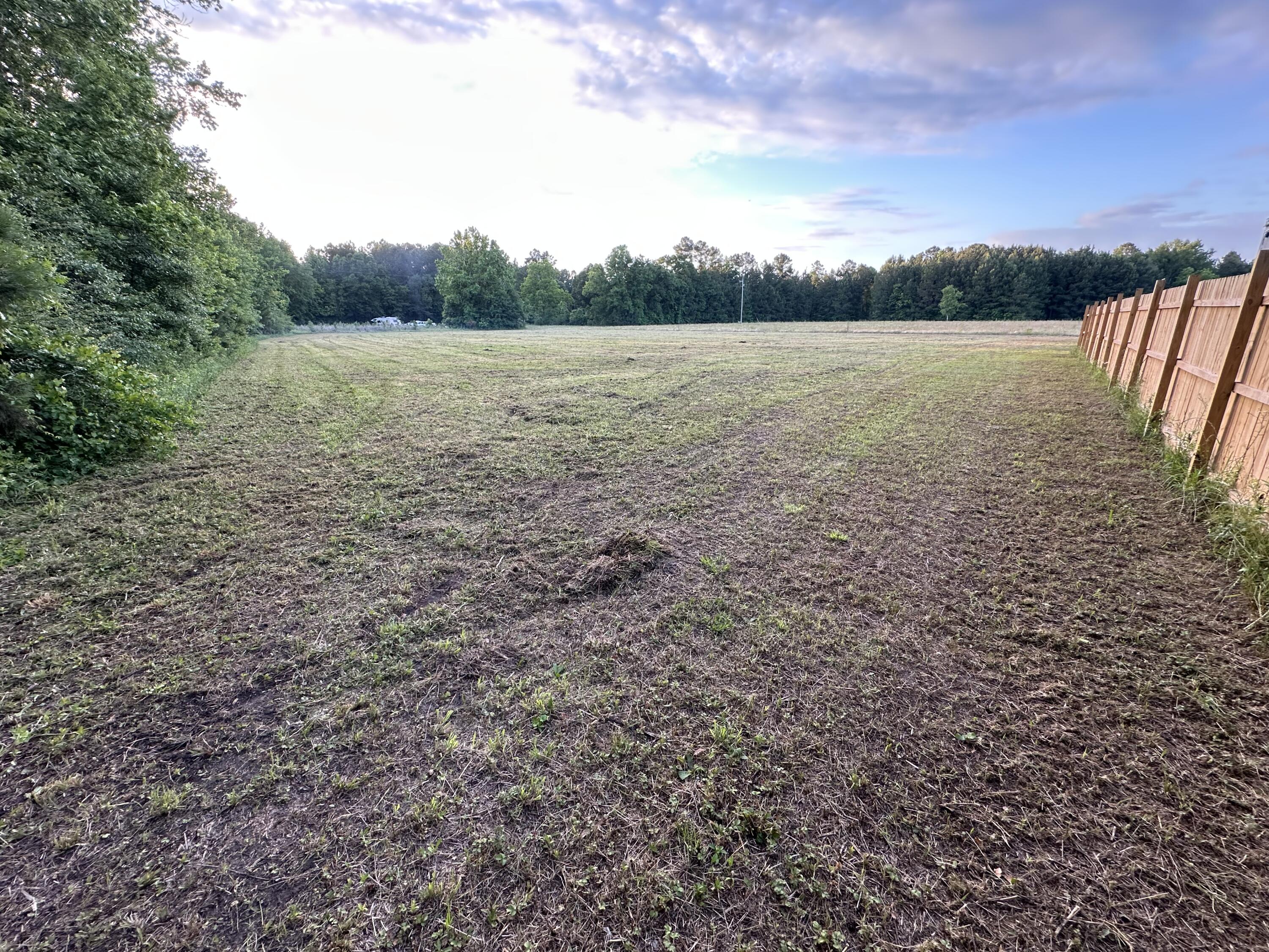 0 Bishopville Road St. George, SC 29477 - Photo 2 of 11