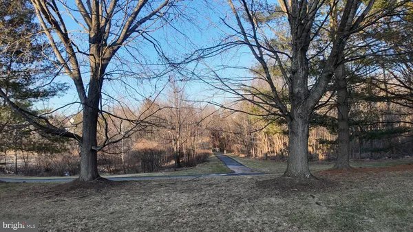 a view of a yard covered with trees