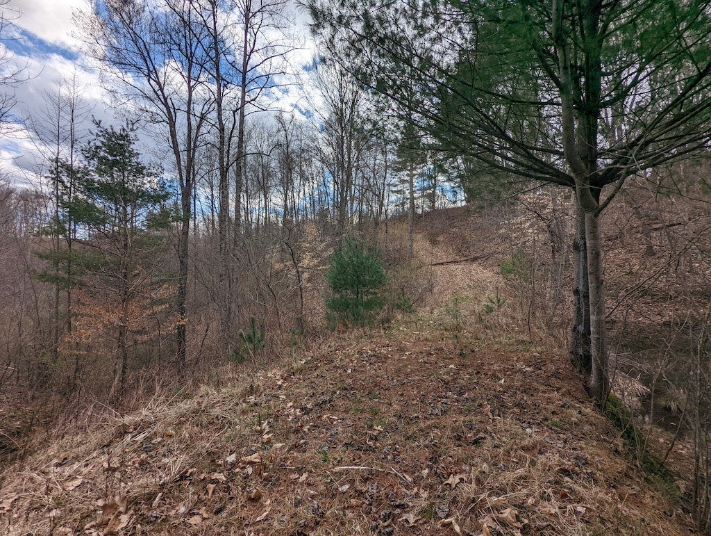 Tbd Timber Ridge Road Northwest, Unit 1 Willis, VA 24380 - Photo 27 of 38 Gallery Image 27