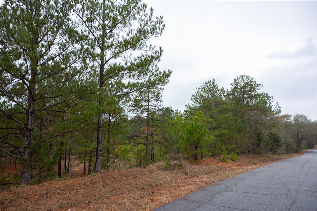 0 24th Highway Anderson, SC 29626 - Photo 11 of 13