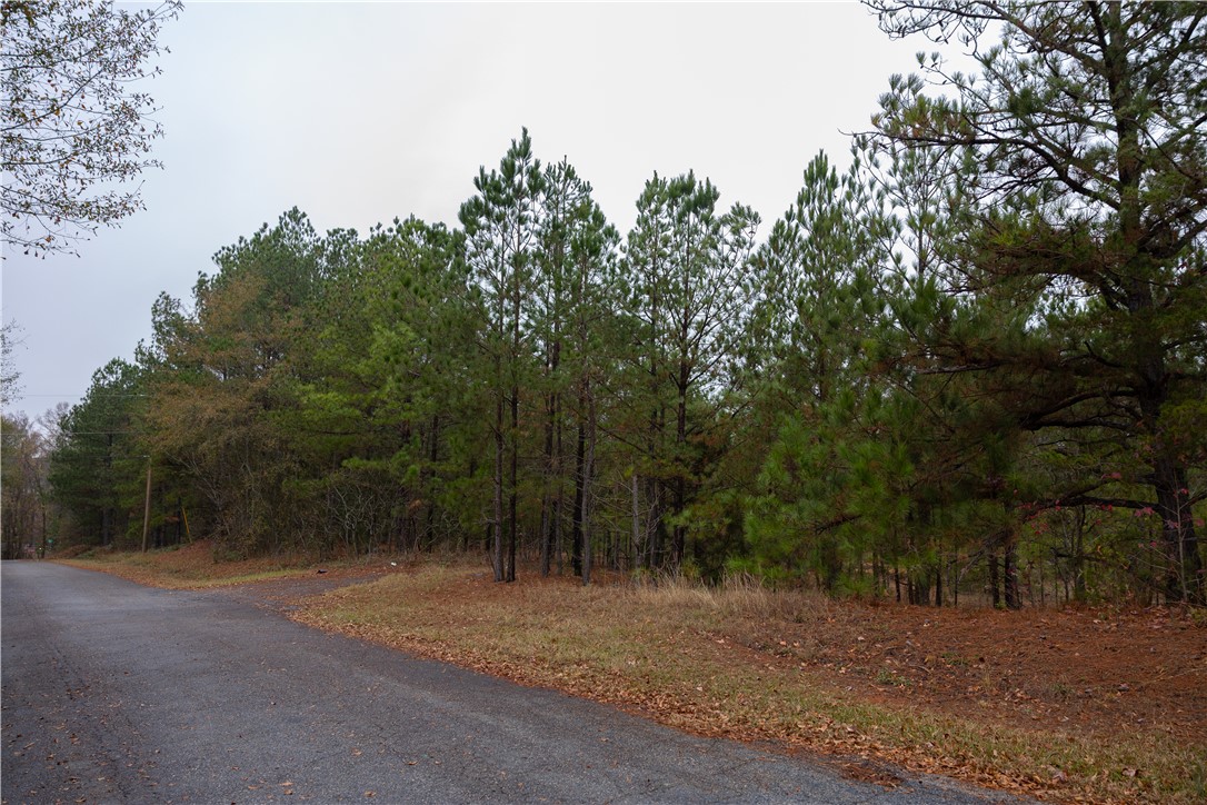 0 24th Highway Anderson, SC 29626 - Photo 13 of 13