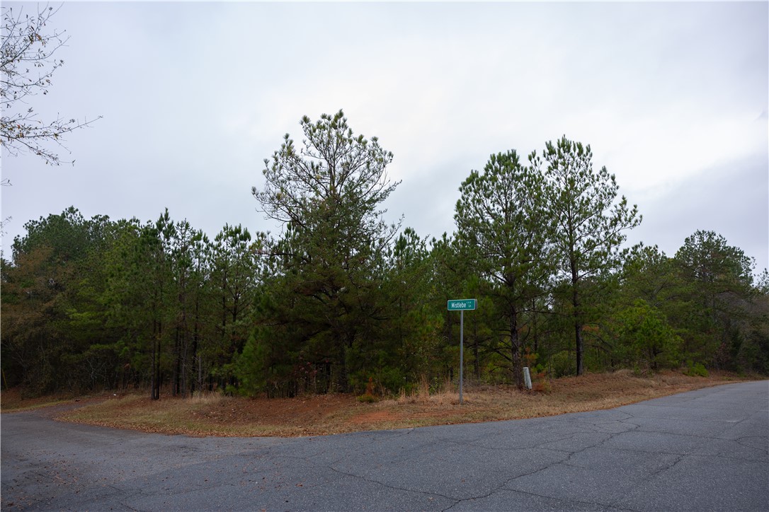 0 24th Highway Anderson, SC 29626 - Photo 3 of 13