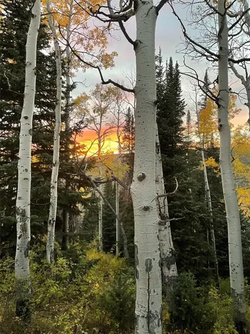 $1,555,500 | 57640 County Road 129, Clark, CO 80428