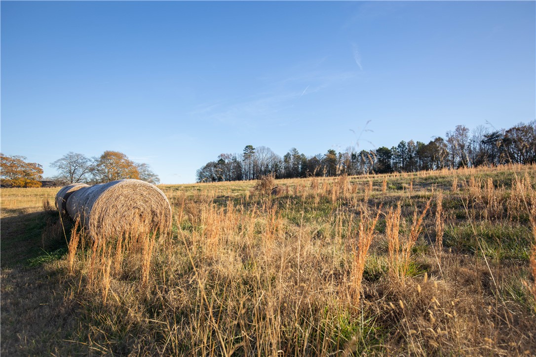 1218 Friendship Road Seneca, SC 29678 - Photo 24 of 31