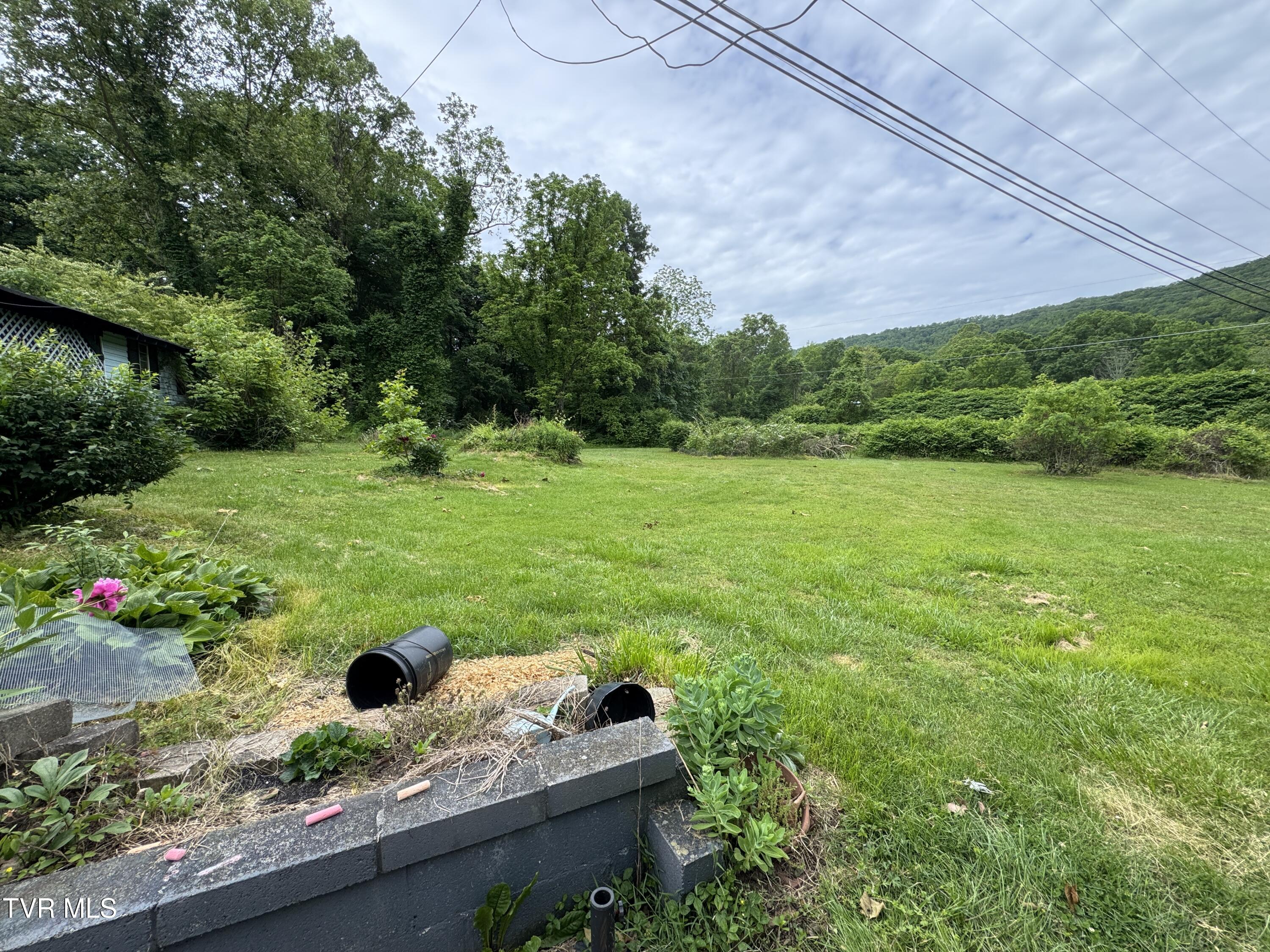 142 Sheryl Turner Road Big Stone Gap, VA 24219 - Photo 17 of 42 BACK YARD FROM CONCRETE PATIO