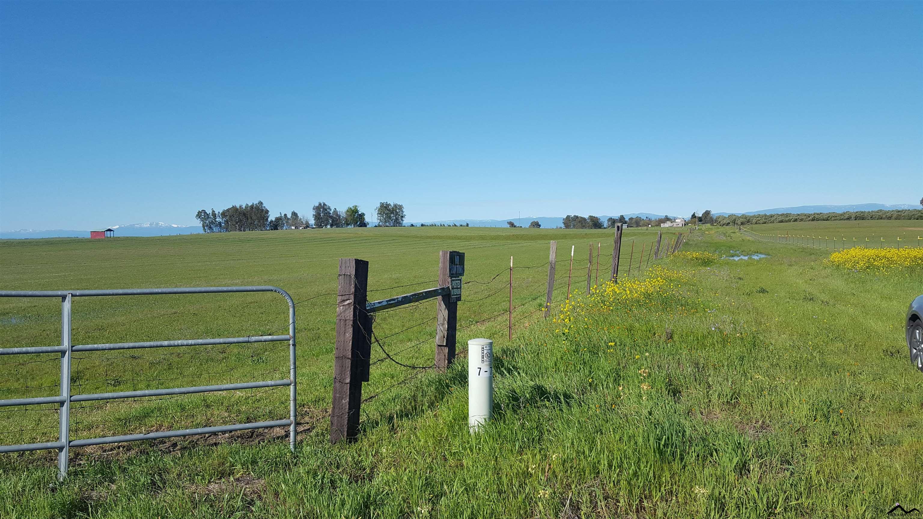 0 Unassigned Street Name, Unit CATTLE DRIVE ROAD Corning, CA 96021 - Photo 16 of 23
