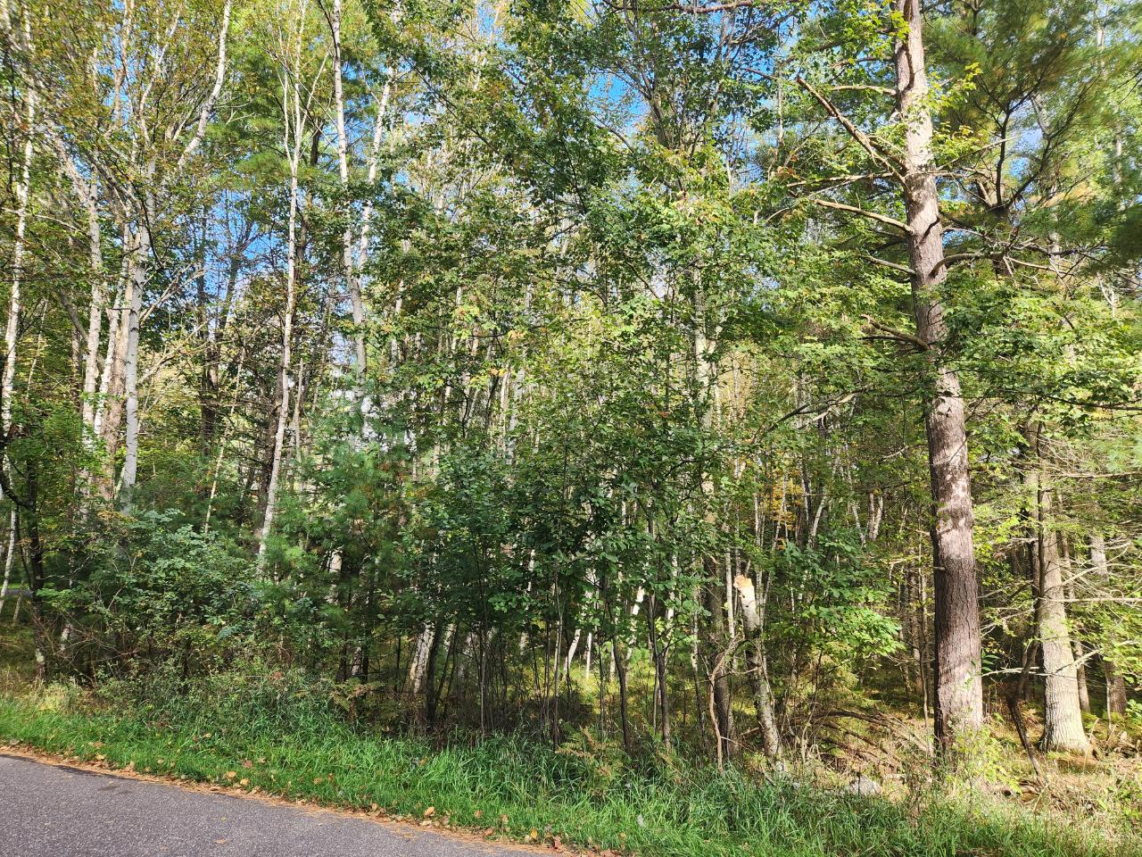 Lot 310 Deerwood Road Minocqua, WI 54548 - Photo 1 of 10 Gallery Image 1