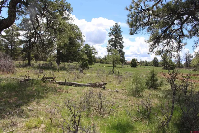 $235,000 | 260 Mariposa Drive, Pagosa Springs, CO 81147