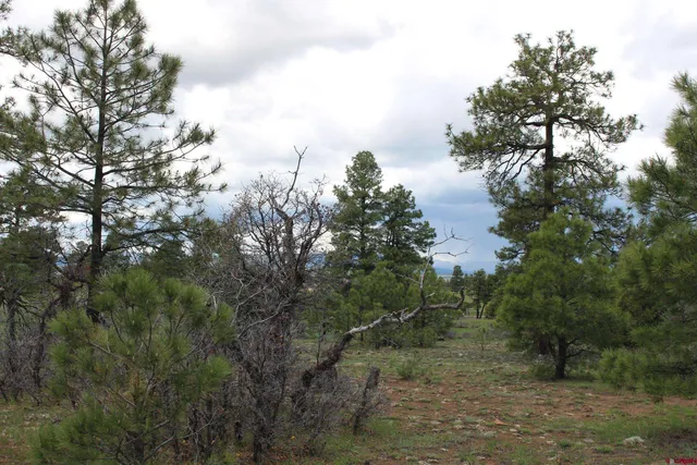 $235,000 | 260 Mariposa Drive, Pagosa Springs, CO 81147