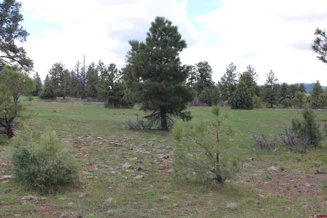 $235,000 | 260 Mariposa Drive, Pagosa Springs, CO 81147