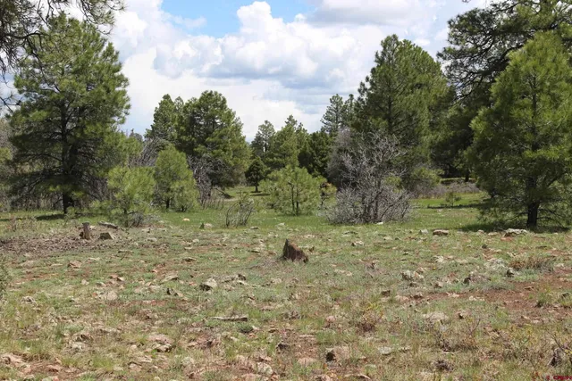 $235,000 | 260 Mariposa Drive, Pagosa Springs, CO 81147