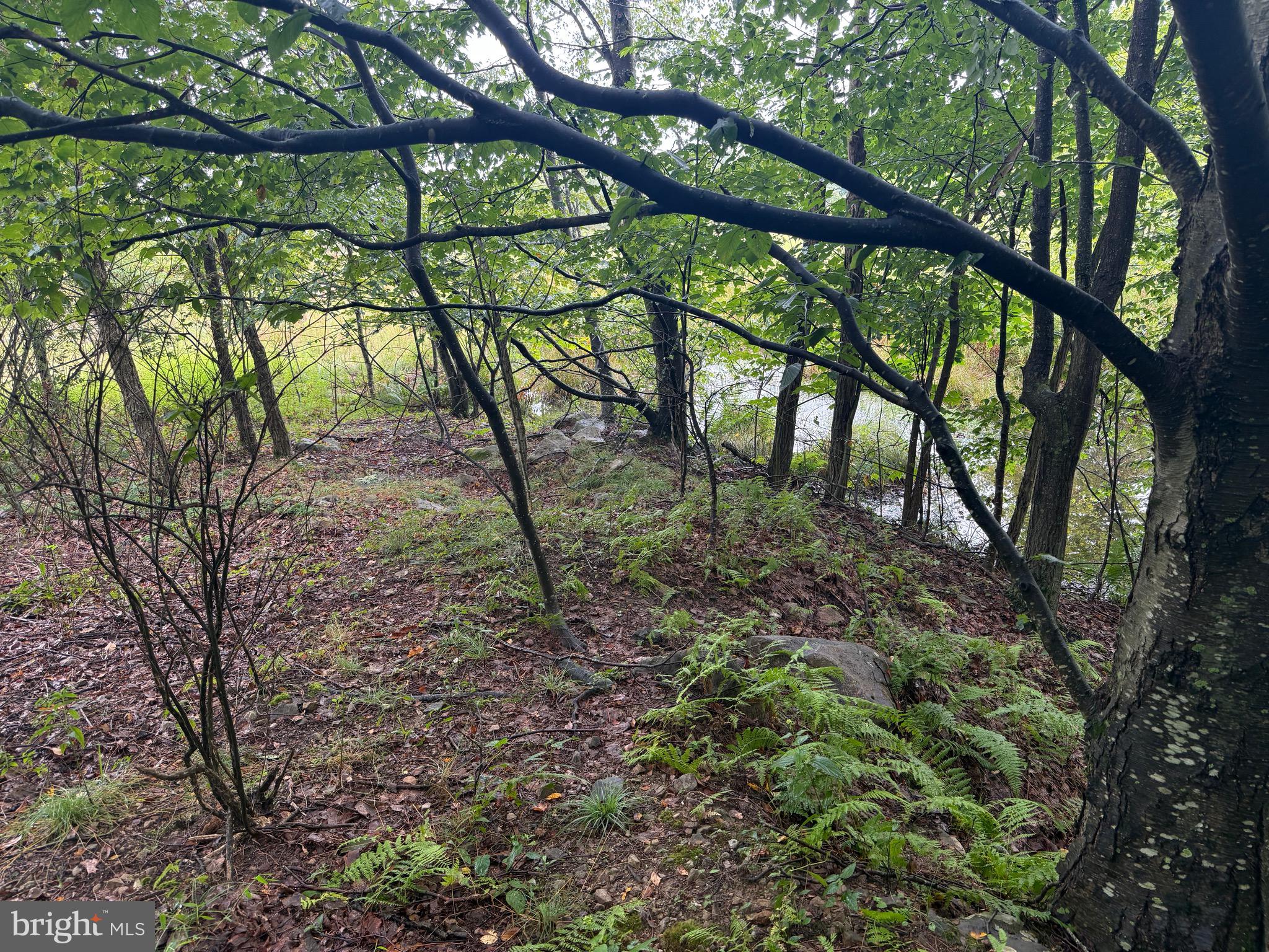 0 Pinnacle Road Keyser, WV 26726 - Photo 26 of 61
