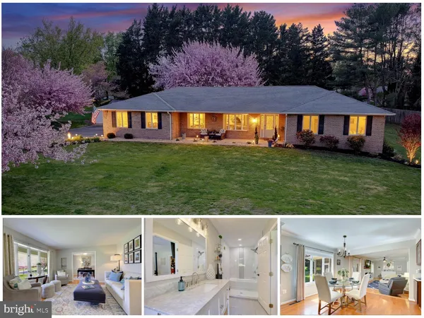 a view of a patio with couches table and chairs and potted plants