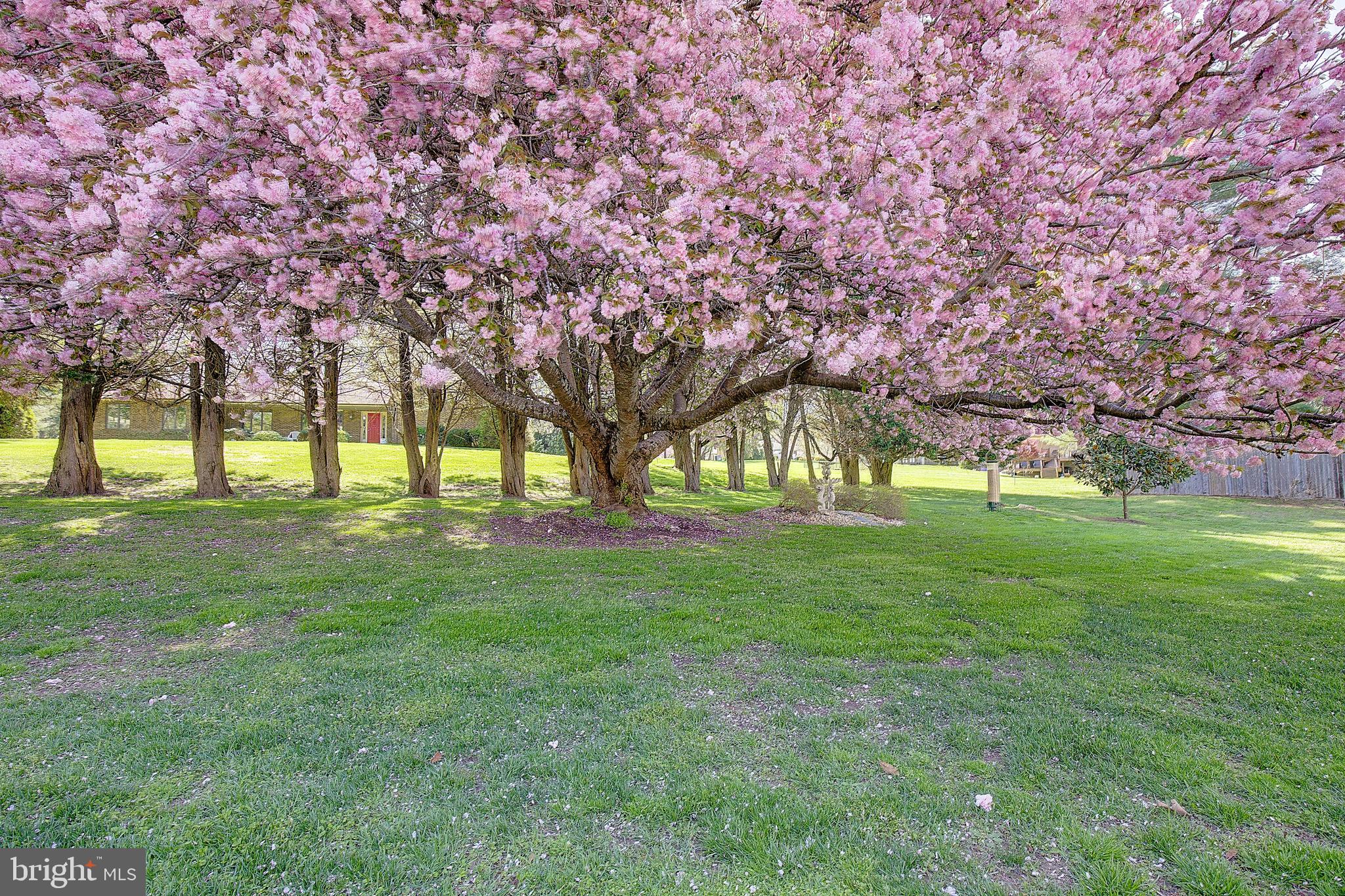 3050 Hickory Ridge Road Dunkirk, MD 20754 - Photo 52 of 78 a huge green field with lots of trees