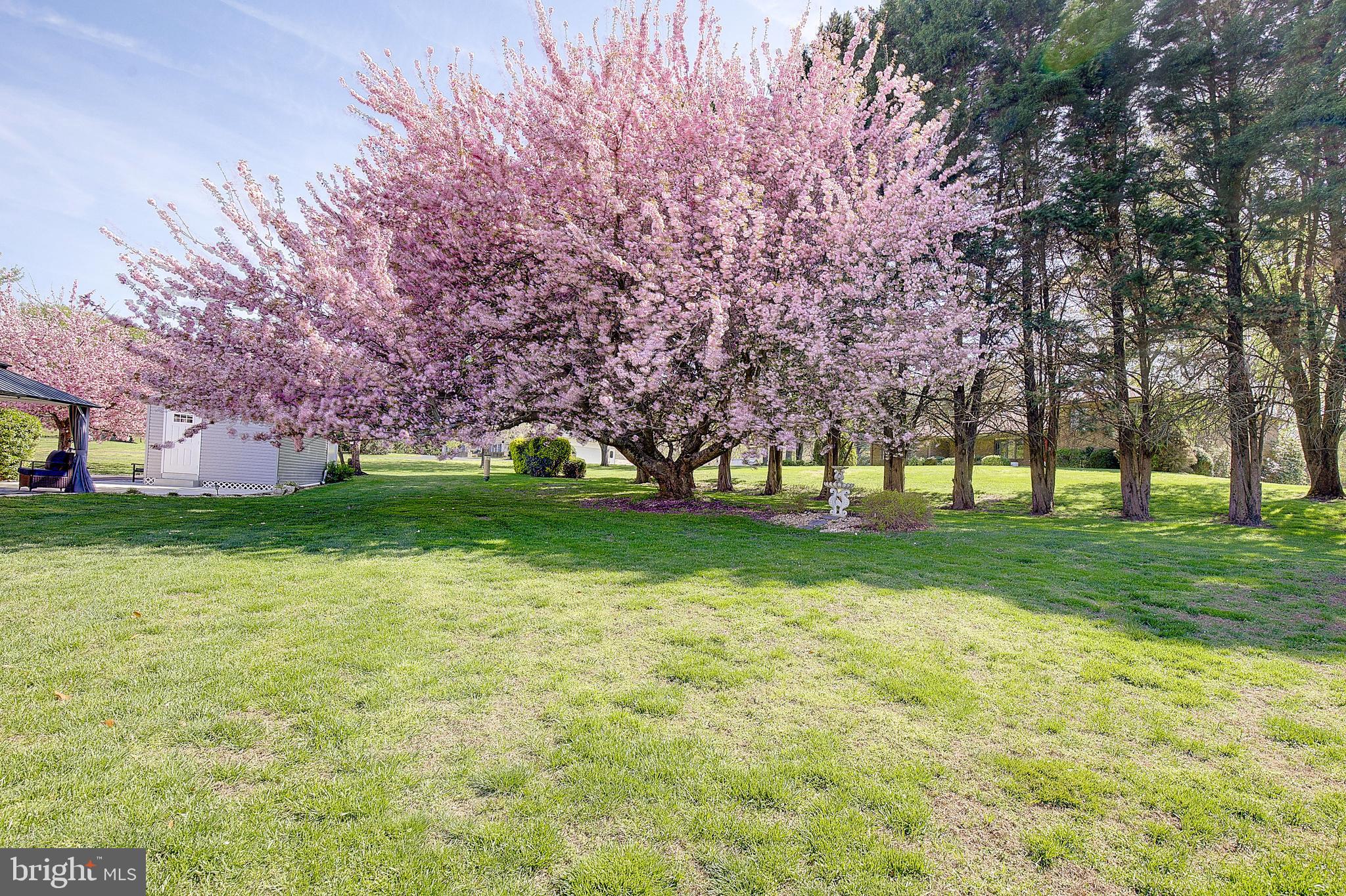 3050 Hickory Ridge Road Dunkirk, MD 20754 - Photo 57 of 78 a huge green field with lots of trees