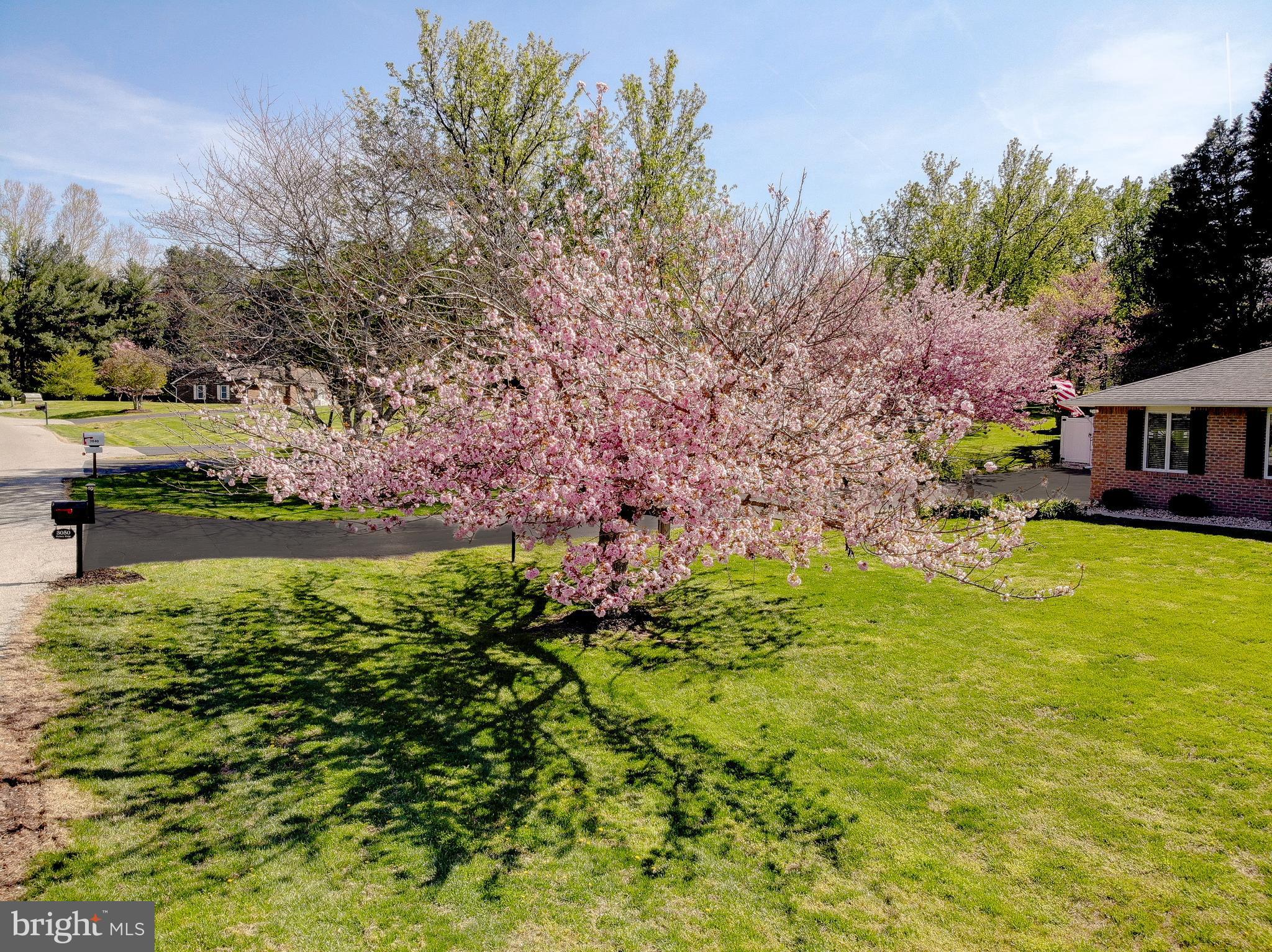 3050 Hickory Ridge Road Dunkirk, MD 20754 - Photo 72 of 78