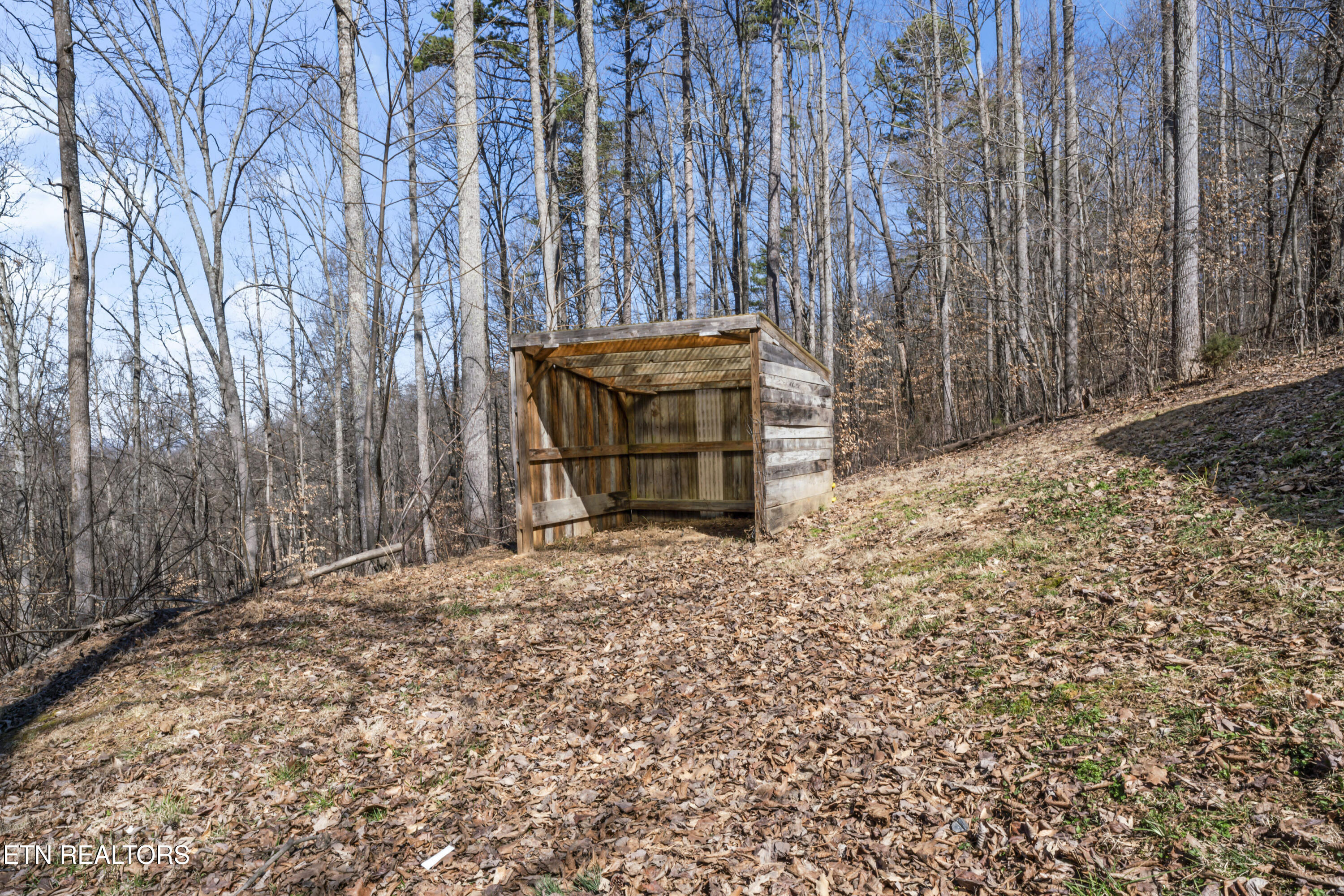 636 Fox Hunter Road Maynardville, TN 37807 - Photo 4 of 31 photos_high_resolution_DSC09601