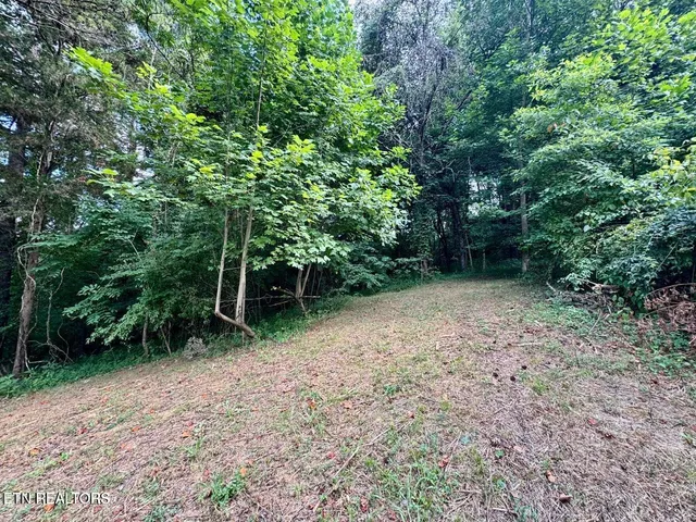 $375,900 | 3643 Bryan Road, Kodak, TN 37764