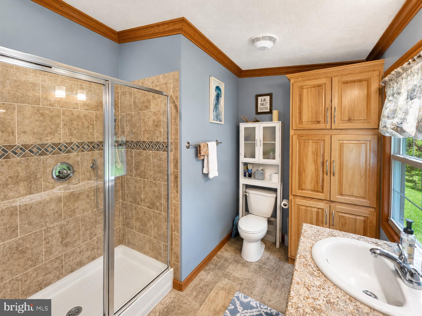 14107 Back Mountain Road Durbin, WV 26264 - Photo 19 of 59 Gallery Image 19