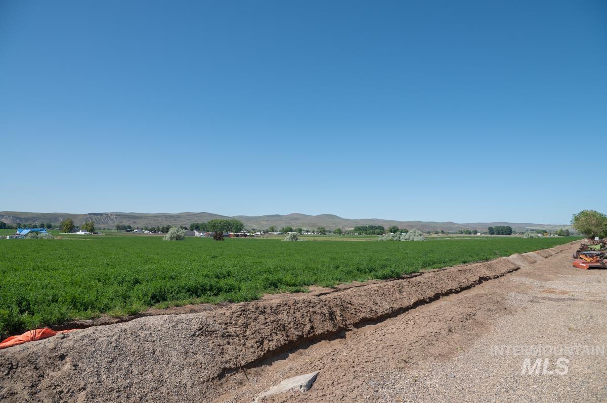 733 Pringle Road Weiser, ID 83672 - Photo 45 of 46 View of mountain backdrop with rural landscape and rows of crops