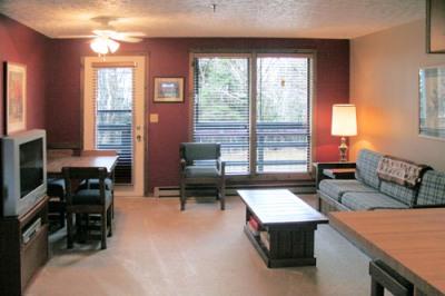 38 Ridgewood Street Snowshoe, WV 26209 - Photo 2 of 15 Living Room 2