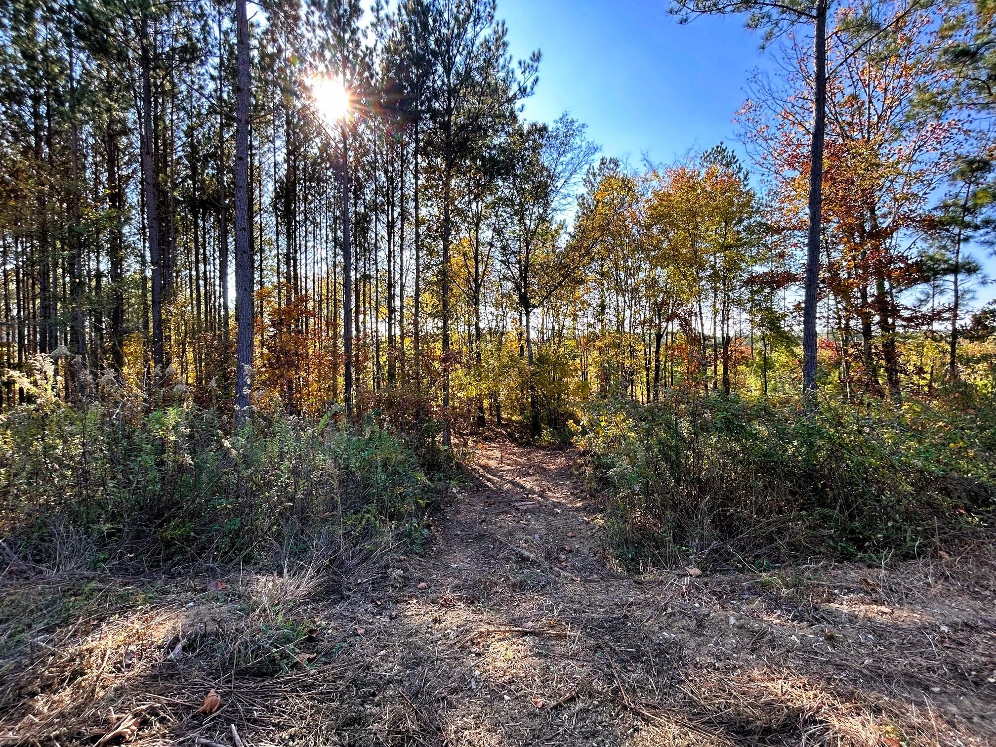 17 Hughes Lake Road Southeast Cleveland, TN 37323 - Photo 8 of 25