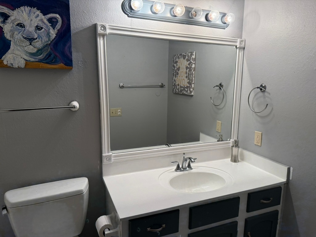 907 East Meadowmere Lane Austin, TX 78758 - Photo 23 of 23 a bathroom with a toilet sink vanity and mirror