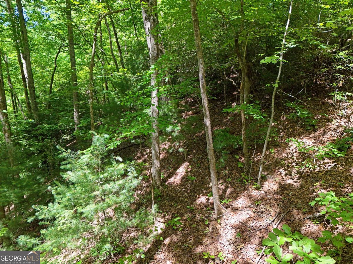 Lot 12 Hightower Ridge Hiawassee, GA 30546 - Photo 2 of 23