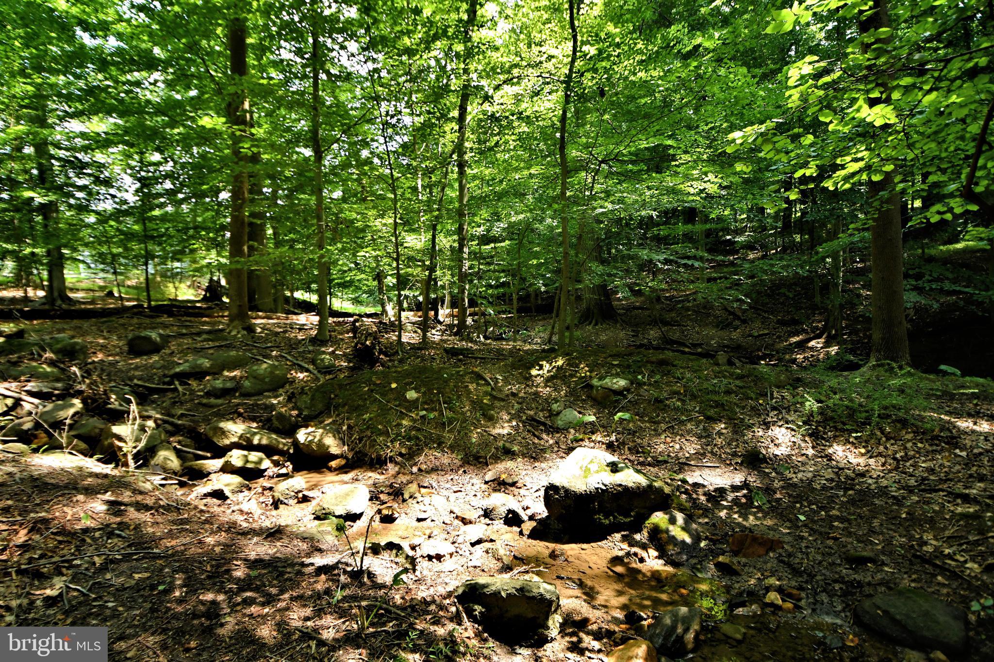 1273 Cedar Grove Road Media, PA 19063 - Photo 71 of 84 Gallery Image 71