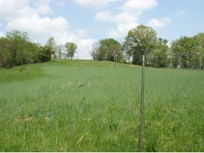 4 Lane Road Surgoinsville, TN 37873 - Photo 1 of 5 Photo 1