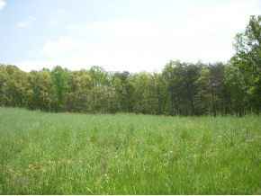 4 Lane Road Surgoinsville, TN 37873 - Photo 2 of 5 Photo 2