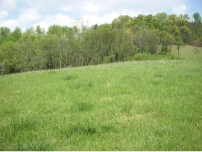 4 Lane Road Surgoinsville, TN 37873 - Photo 3 of 5 Photo 3