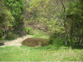 4 Lane Road Surgoinsville, TN 37873 - Photo 4 of 5 Photo 4