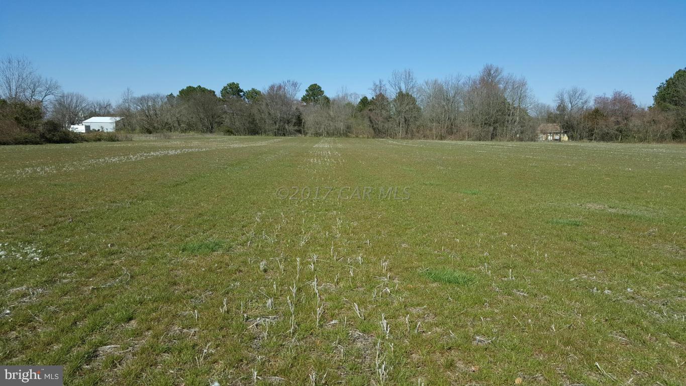 373 Texas Road Bivalve, MD 21814 - Photo 1 of 1
