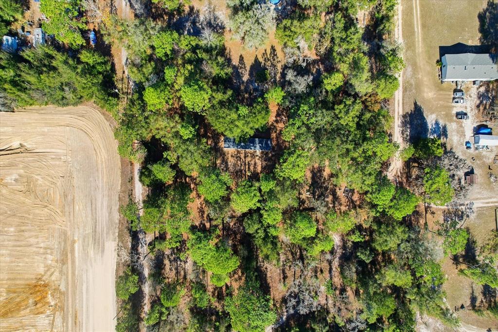 4638 North Ellen Point Crystal River, FL 34428 - Photo 42 of 48