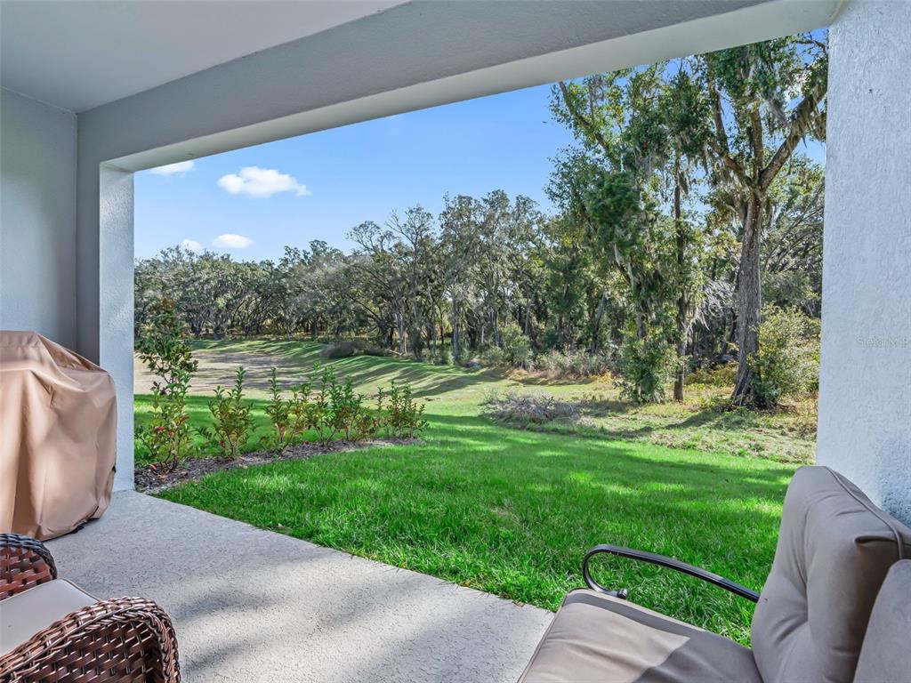 1238 Turtle Is Road Fruitland Park, FL 34731 - Photo 33 of 47